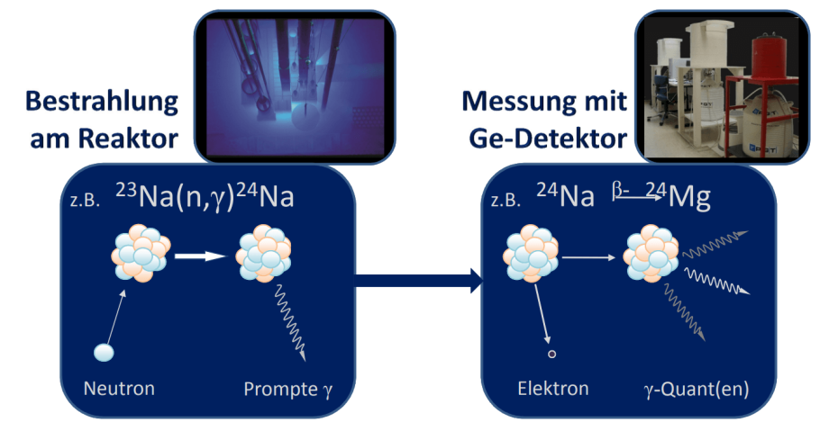 NAA-Verfahren Ablauf Bestrahlung am Reaktor Messung Ge-Detektor